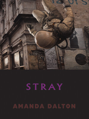 cover image of Stray